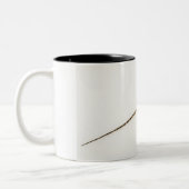 Arboreal agamid Spezieseingeborener zu Ost Zweifarbige Tasse (Links)