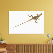 Arboreale Agaramid-Arten, die im Osten beheimatet  Leinwanddruck (Insitu (Wohnzimmer))