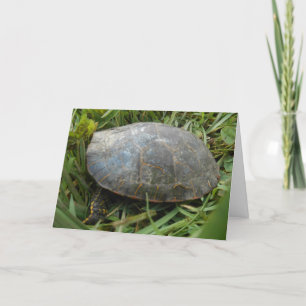"Arboretum Painted Turtle" Dankeschön Karte
