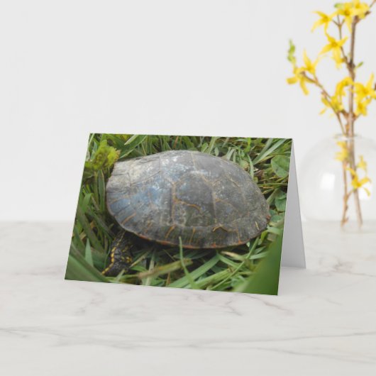 "Arboretum Painted Turtle" Geburtskarte Karte (Gelbe Blume)