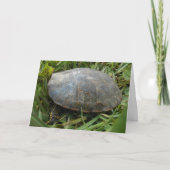 "Arboretum Painted Turtle" Geburtskarte Karte (Vorderseite)