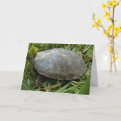 „Arboretum Painted Turtle“ Geburtstagskarte Karte (Gelbe Blume)