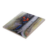 Arborist-Baum-Chirurg Fliese (Seite)