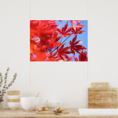 Arborist Fiery Fall Color: Red Maple Blätter Poster (Küche)