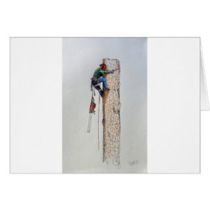 Arborist Tree Surgeon