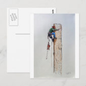 Arborist Tree Surgeon Postkarte (Vorne/Hinten)