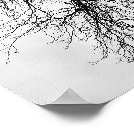 Arbre Noir et blanc Poster (Ecke)
