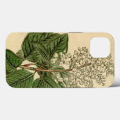 Arbutus Menziesii i iPhone Case (Rückseite (Horizontal))
