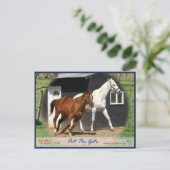 Arc Bars Miss und Bel's Starlet Postcard Postkarte (Stehend Vorderseite)