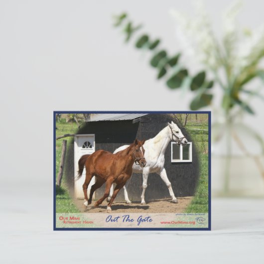 Arc Bars Miss und Bel's Starlet Postcard Postkarte (Stehend Vorderseite)