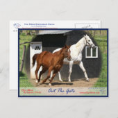 Arc Bars Miss und Bel's Starlet Postcard Postkarte (Vorne/Hinten)