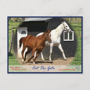 Arc Bars Miss und Bel's Starlet Postcard Postkarte