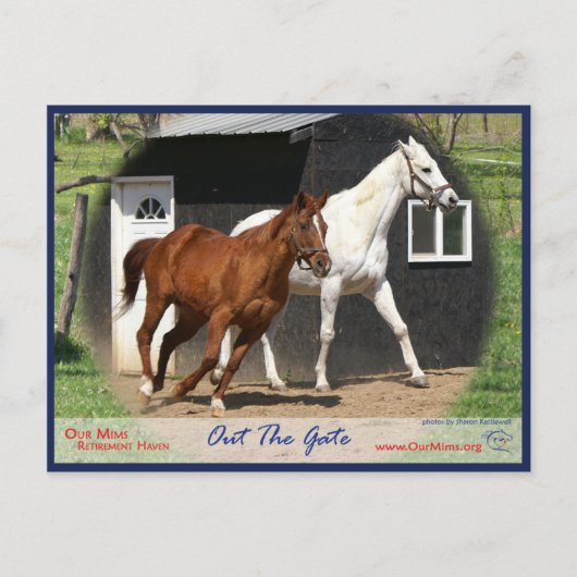 Arc Bars Miss und Bel's Starlet Postcard Postkarte (Vorderseite)