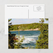 Arcadia Nationalpark durch die Bäume Postkarte (Vorne/Hinten)