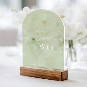 Arch Acryl Sagegrün Hochzeitstisch Zwei Nummer Acryleinladungen