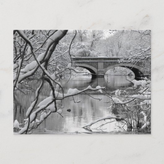 Arch Bridge over Frozen River in Winter Postkarte (Vorderseite)