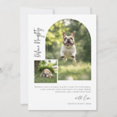 Arch Foto Definition Naughty Funny Dog Weihnachten (Vorderseite)