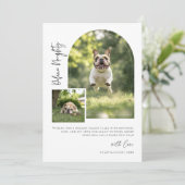 Arch Foto Definition Naughty Funny Dog Weihnachten (Stehend Vorderseite)