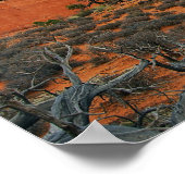 Arch gebrochen, Nationalpark Arches Poster (Ecke)