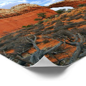 Arch gebrochen, Nationalpark Arches Poster (Ecke)
