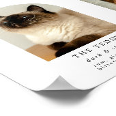 Arch Pet Foto Signature Drinks Hochzeitszeichen Ba Poster (Ecke)