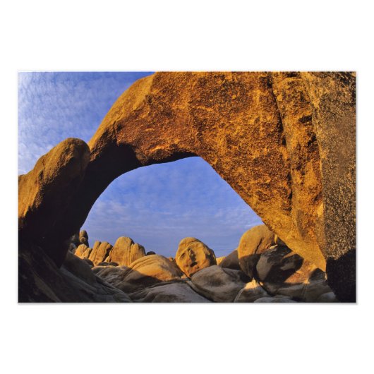 Arch Rock am Joshua Tree Nationalpark in Fotodruck (Vorne)