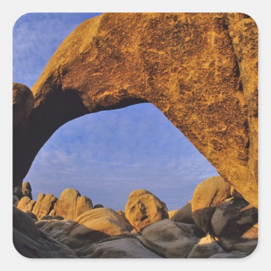 Arch Rock am Joshua Tree Nationalpark in Quadratischer Aufkleber (Vorderseite)