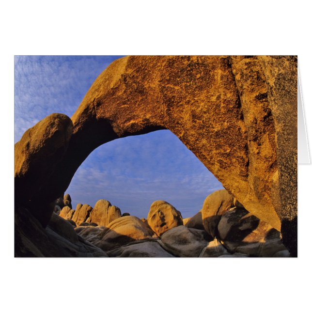 Arch Rock im Joshua-Tree-Nationalpark (Vorderseite (Horizontal))