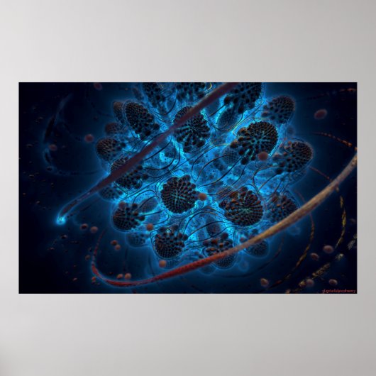 Archaea Poster (Vorne)