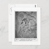 Archaeopteryx Art Postkarte (Vorne/Hinten)