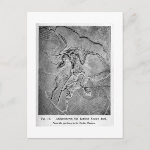 Archaeopteryx Art Postkarte