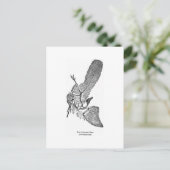 Archaeopteryx Art Postkarte (Stehend Vorderseite)