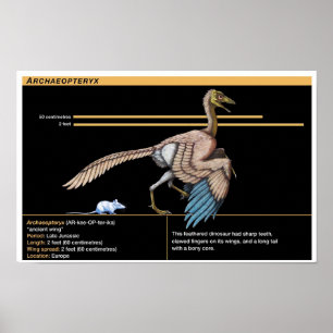 Archaeopteryx - Biologie der Jurassic-Dinosaurier Poster
