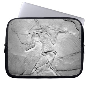 Archaeopteryx Fossil Neopren Laptop Sleeve 10"