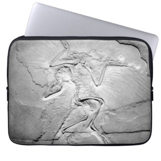 Archaeopteryx Fossil Neopren Laptop Sleeve 13"