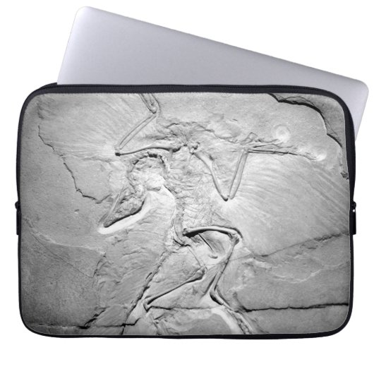 Archaeopteryx Fossil Neopren Laptop Sleeve 13" (Vorderseite)