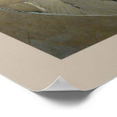 Archaeopteryx Poster (Ecke)