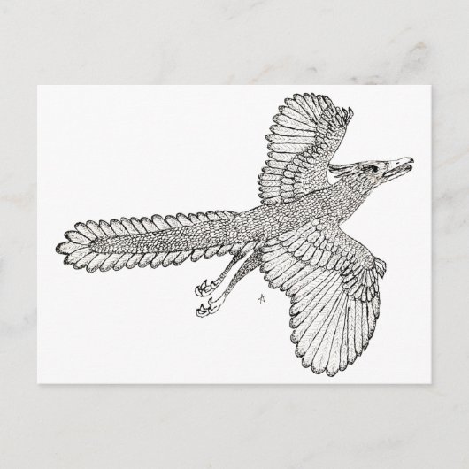 Archaeopteryx Postkarte (Vorderseite)