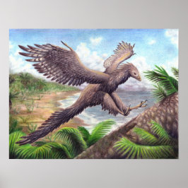 Archaeopteryx Print Poster