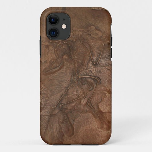 Archaeopteryxfossil - Casemate Case-Mate iPhone Hülle (Rückseite)
