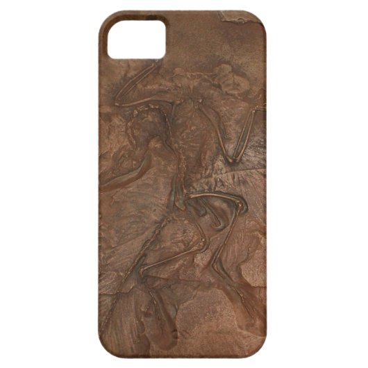 Archaeopteryxfossil - Casemate Case-Mate iPhone Hülle (Rückseite)