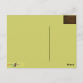 Archäologische Fundstücke: Assyrian Lion Hunt Fres Postkarte (Rückseite)