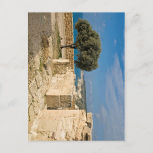 Archäologische Stätte Kourion, Zypern Postkarte