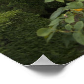 Archbishop Palace Of Braga With Garden Poster (Ecke)