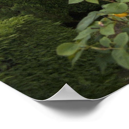 Archbishop Palace Of Braga With Garden Poster (Ecke)