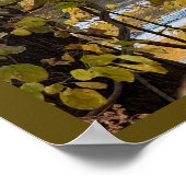 Arched Bridge Foto Poster (Ecke)