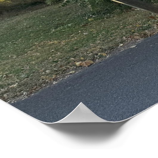 Arched Bridge Foto Poster (Ecke)