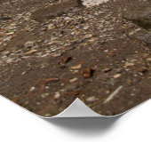 Arched Walking In Pergamon Poster (Ecke)