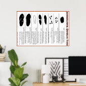 Archeologisches Coprolite Types Poster (Heimbüro)