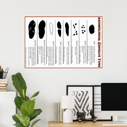 Archeologisches Coprolite Types Poster (Heimbüro)